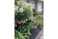 Additional image 30 of 142 Abbott St, North Andover, MA, 01845