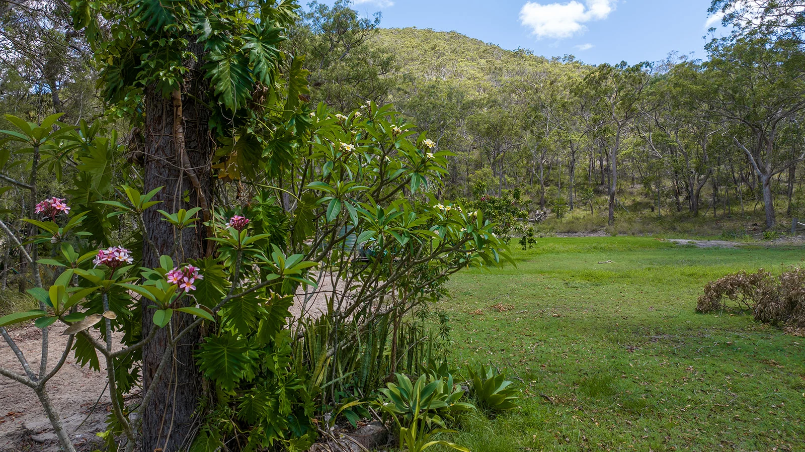 Additional image 7 of 52 McGhee Crescent, Agnes Water QLD 4677