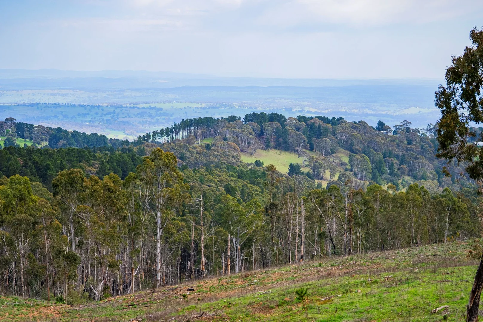 Additional image 7 of 1606 Mount Canobolas Road, Orange NSW, Orange NSW 2800