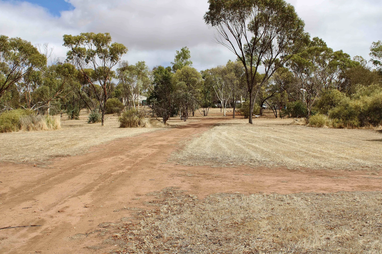 Additional image 4 of 95 CAMPBELL STREET, Cuballing WA 6311