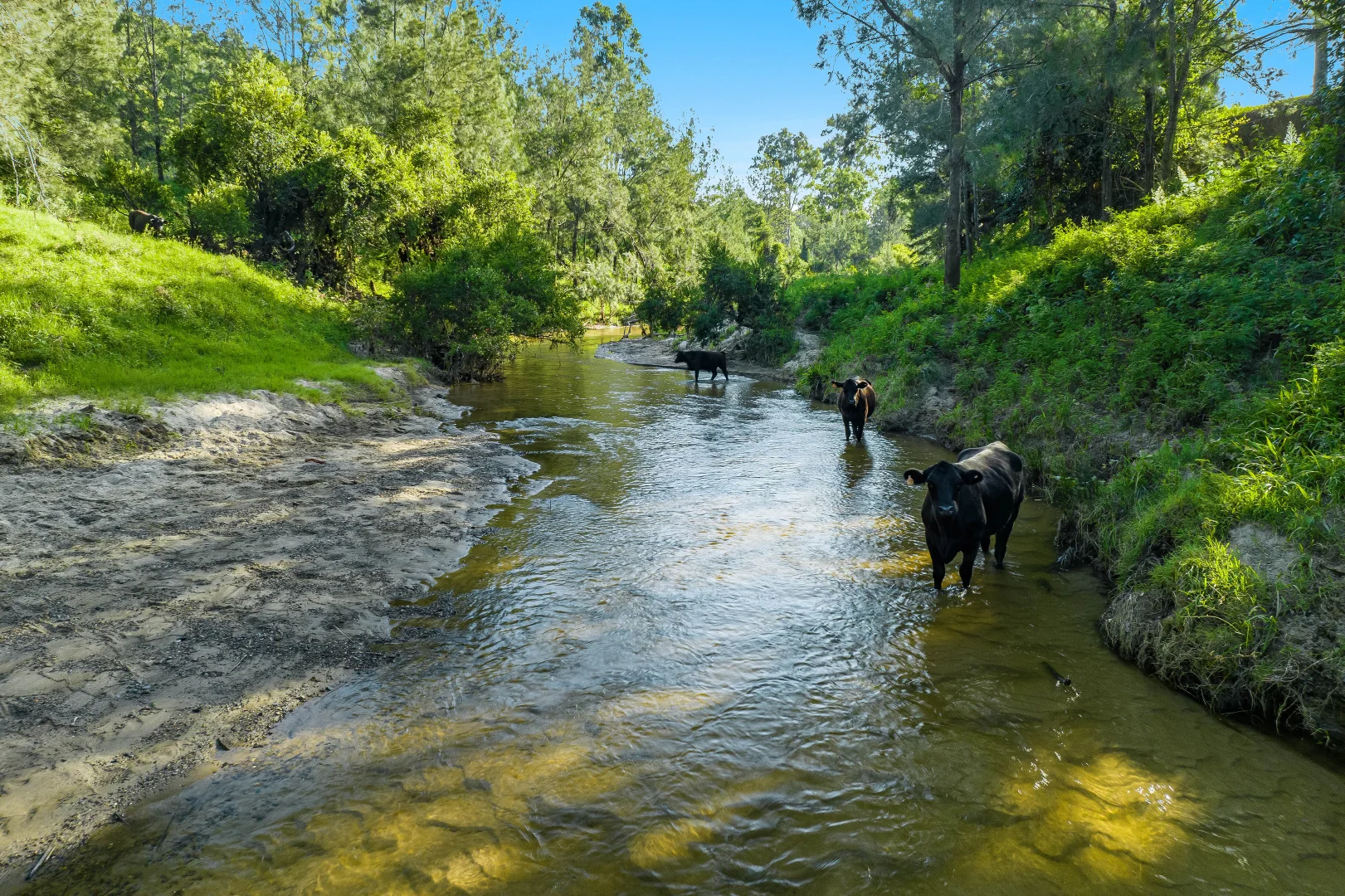 Additional image 19 of 6 Hiscockes Road, Theresa Creek NSW 2469