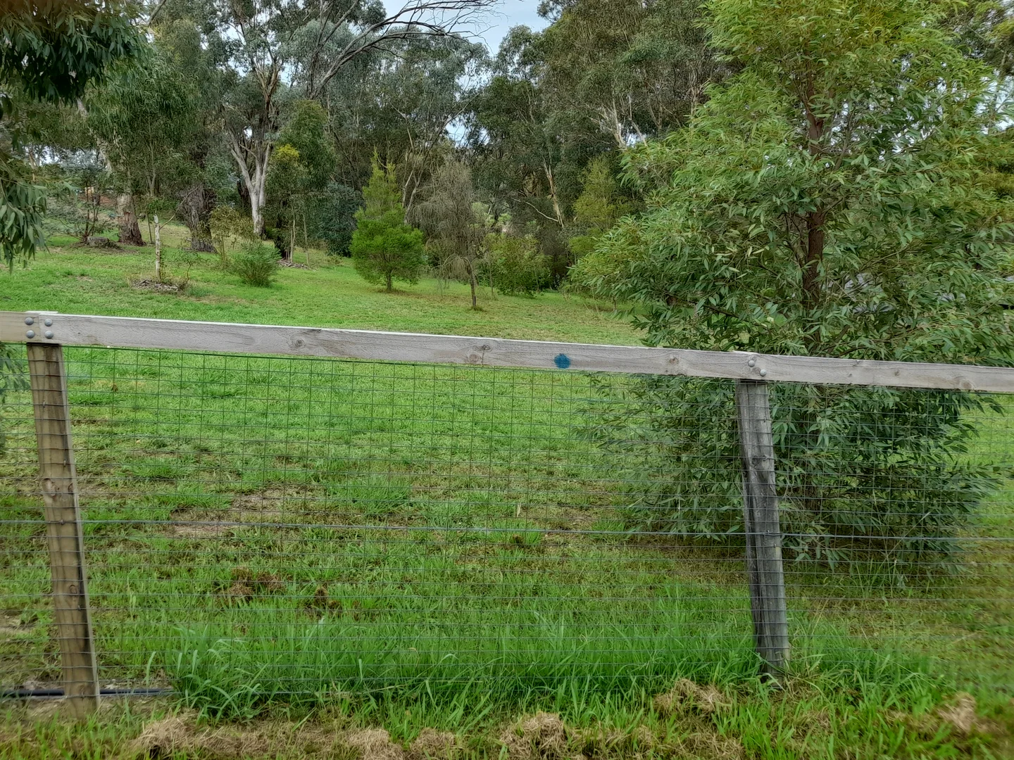 Additional image 8 of 11 Gaff Court, Wodonga VIC 3690