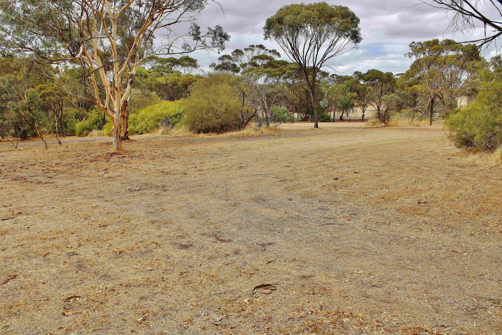 Additional image 28 of 95 CAMPBELL STREET, Cuballing WA 6311