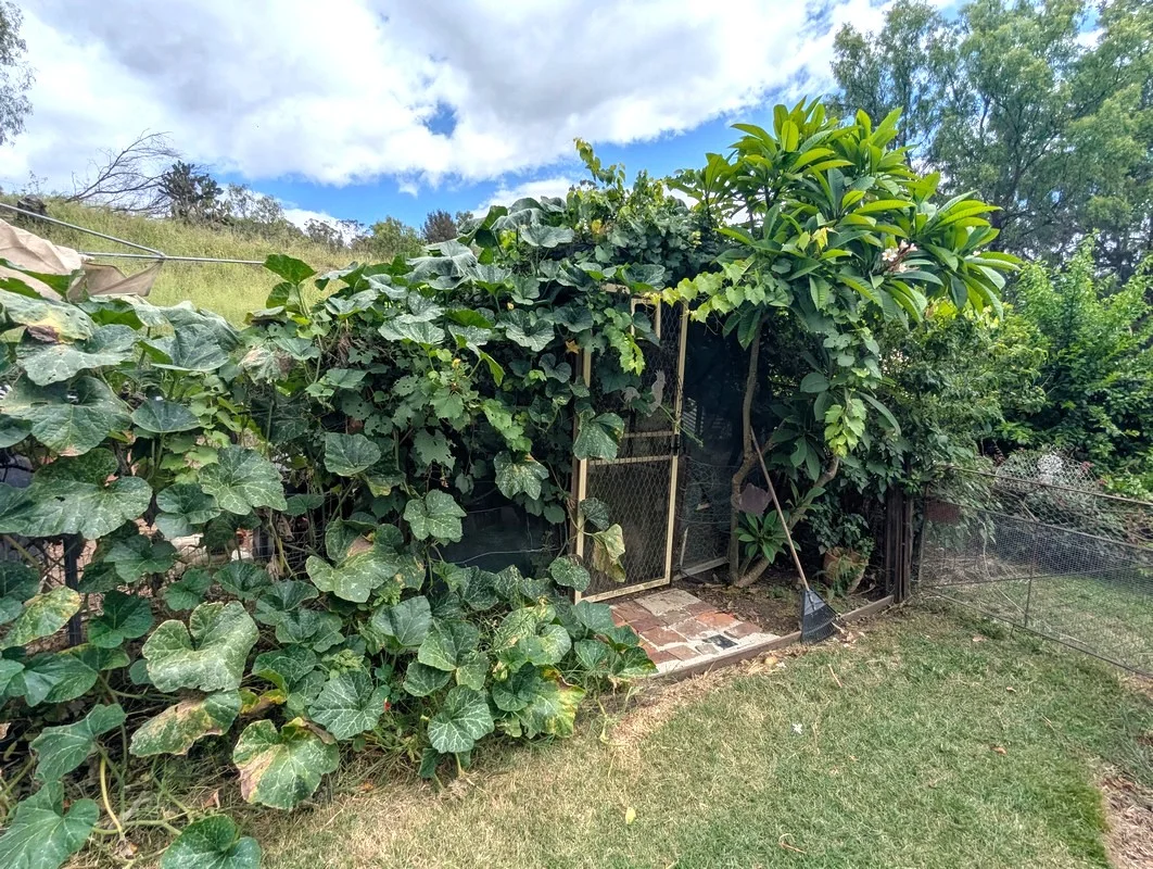 Additional image 58 of 1348 Flagstone Creek Road, Flagstone Creek QLD 4344