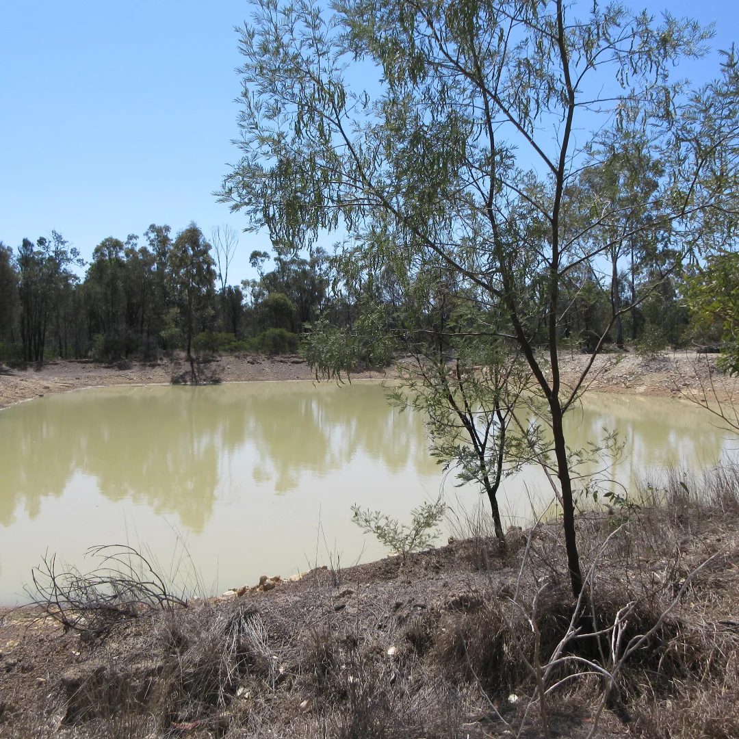 Additional image 3 of 129 Miegunyah Court, Tara QLD 4421