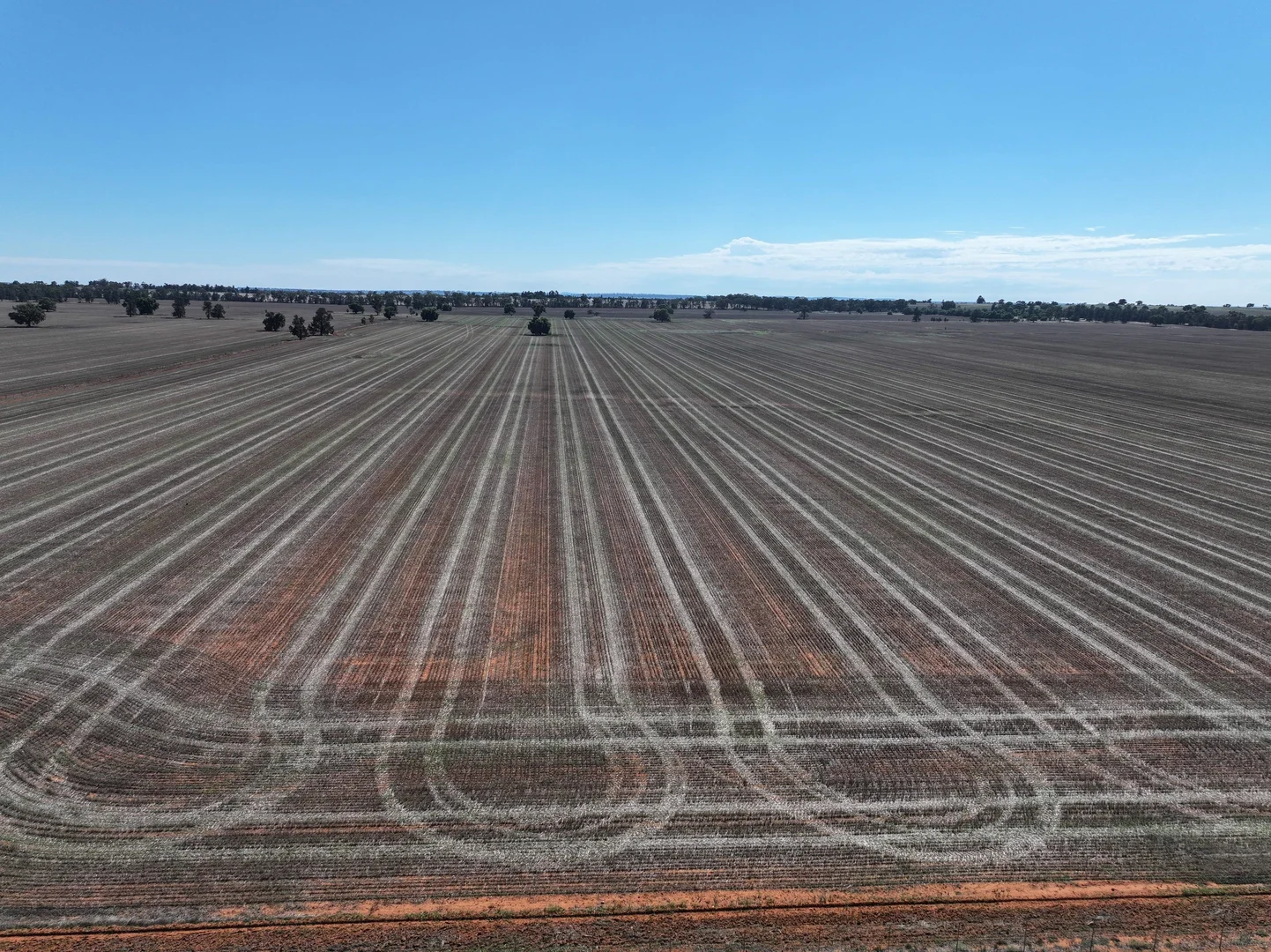 Additional image 11 of Shannonvale & Elmore Strontian Road, Boree Creek NSW 2652