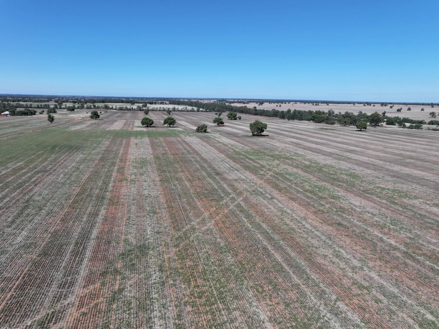 Additional image 12 of Shannonvale & Elmore Strontian Road, Boree Creek NSW 2652