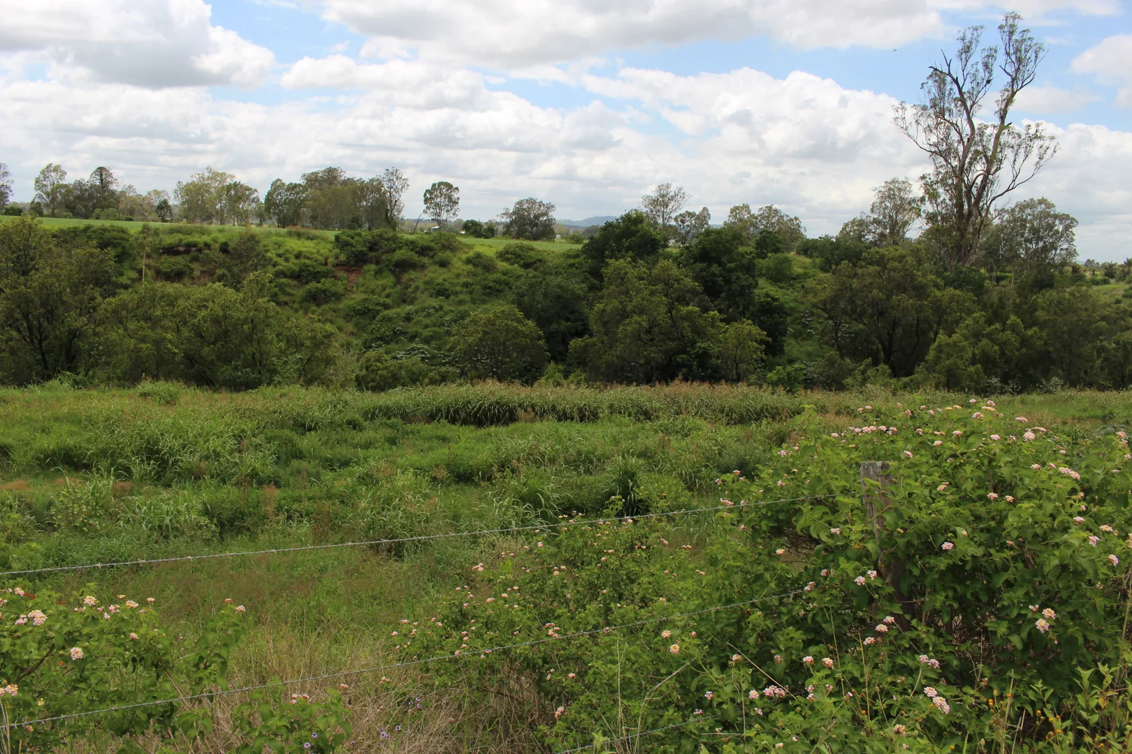 Additional image 18 of 70 Schimkes Lane, Clarendon QLD 4311