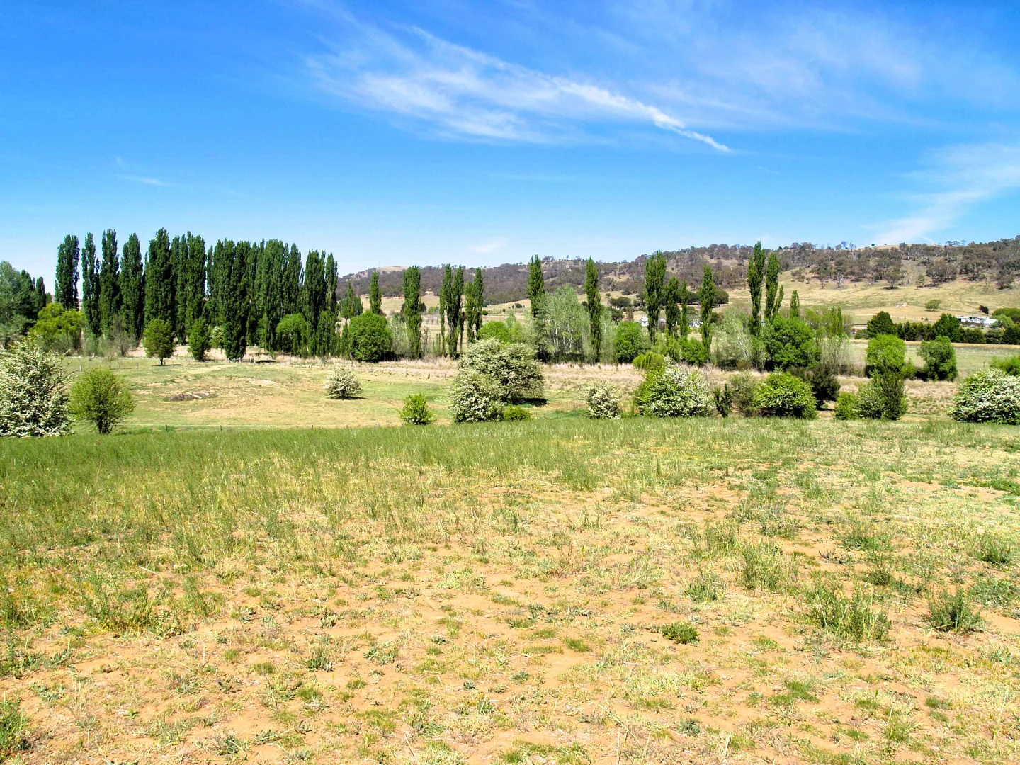 Additional image 2 of 28 Ryrie Street, Michelago NSW 2620