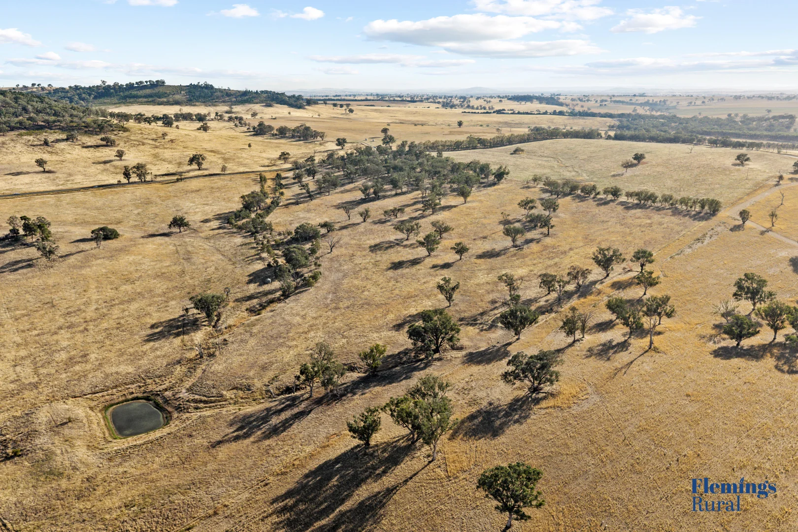 Additional image 4 of 145 Cusack Road, Boorowa NSW 2586