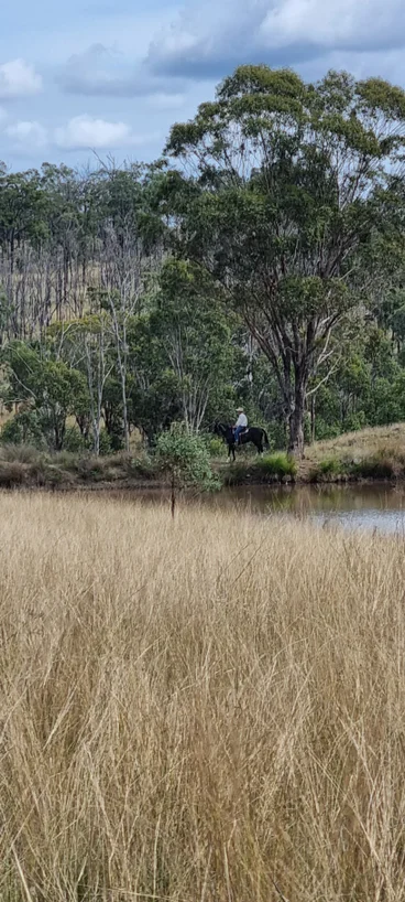 Additional image 8 of 0 Hazeldene Road, Thane QLD 4370