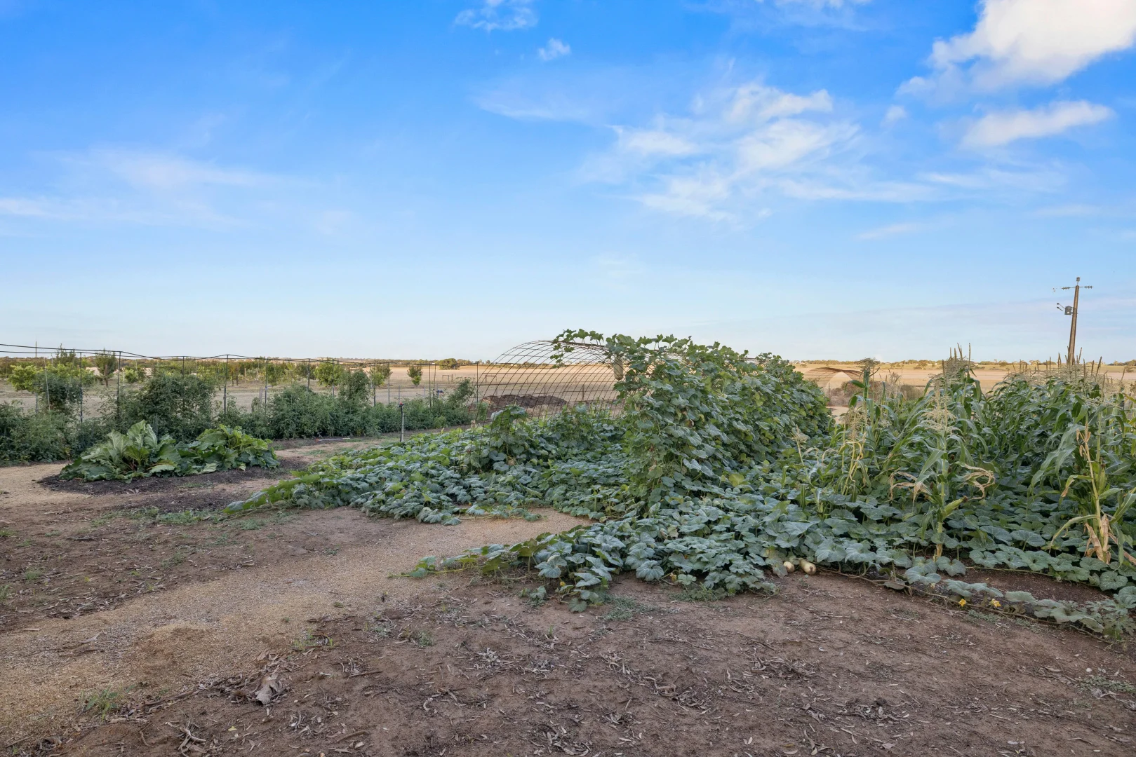 Additional image 15 of 403 Dry Plains Road, Strathalbyn SA 5255