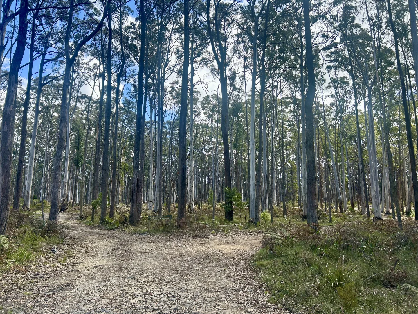 Additional image 14 of 175 Blighs Road, Trentham VIC 3458