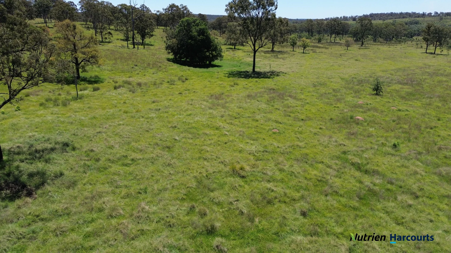 Additional image 21 of 960 Dangore Mountain Road, Dangore QLD 4610