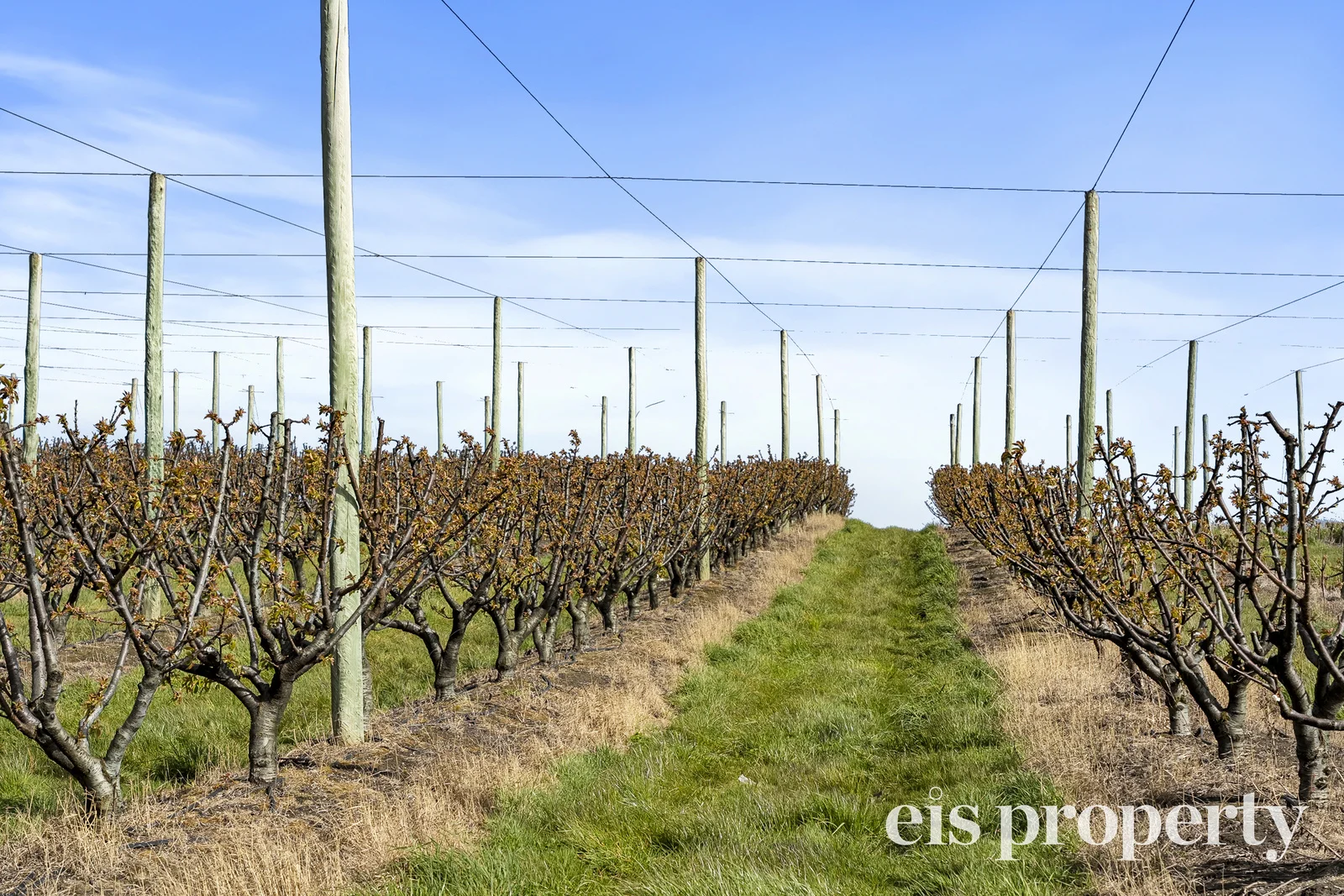 Additional image 17 of 627 Silver Hill Road, Lower Wattle Grove TAS 7109