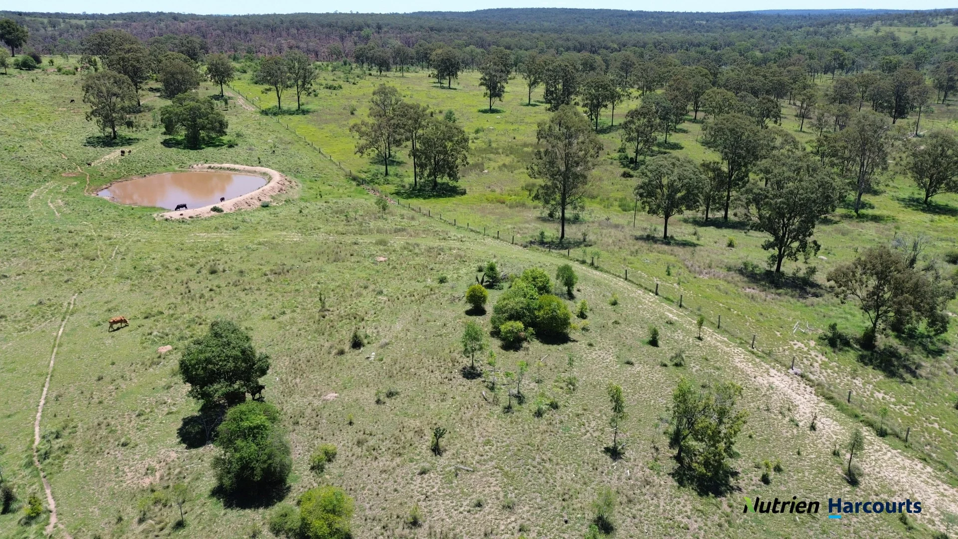 Additional image 20 of 960 Dangore Mountain Road, Dangore QLD 4610