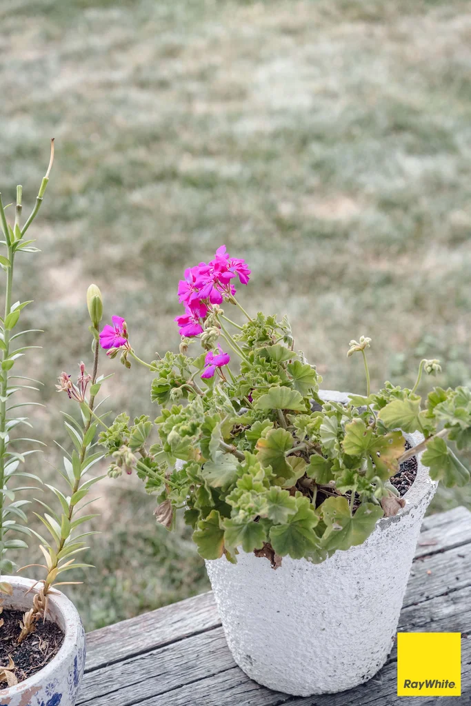 Additional image 30 of 20 Whitton Rise, Bungendore NSW 2621