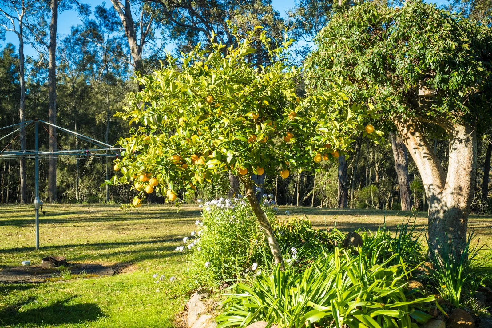 Additional image 65 of 950 Wagonga Scenic Drive, Narooma NSW 2546