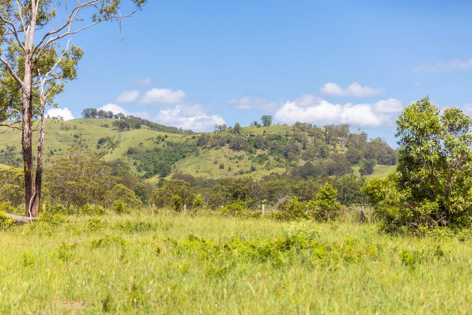 Additional image 3 of 30 Wynters Road, Burrell Creek NSW 2429