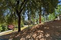 Additional image 76 of 4345 LA Brosa Pl, Foresthill, CA, 95631