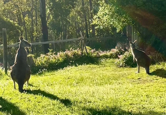 Additional image 20 of 32 L L Road, Officer VIC 3809