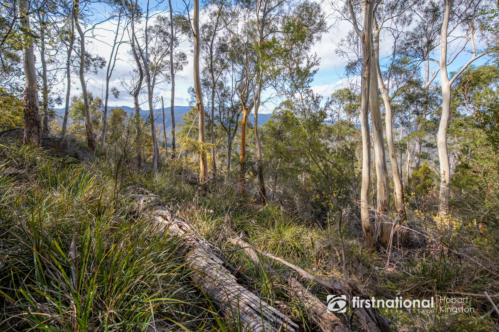 Additional image 11 of Krauses Road, Lower Longley TAS 7109