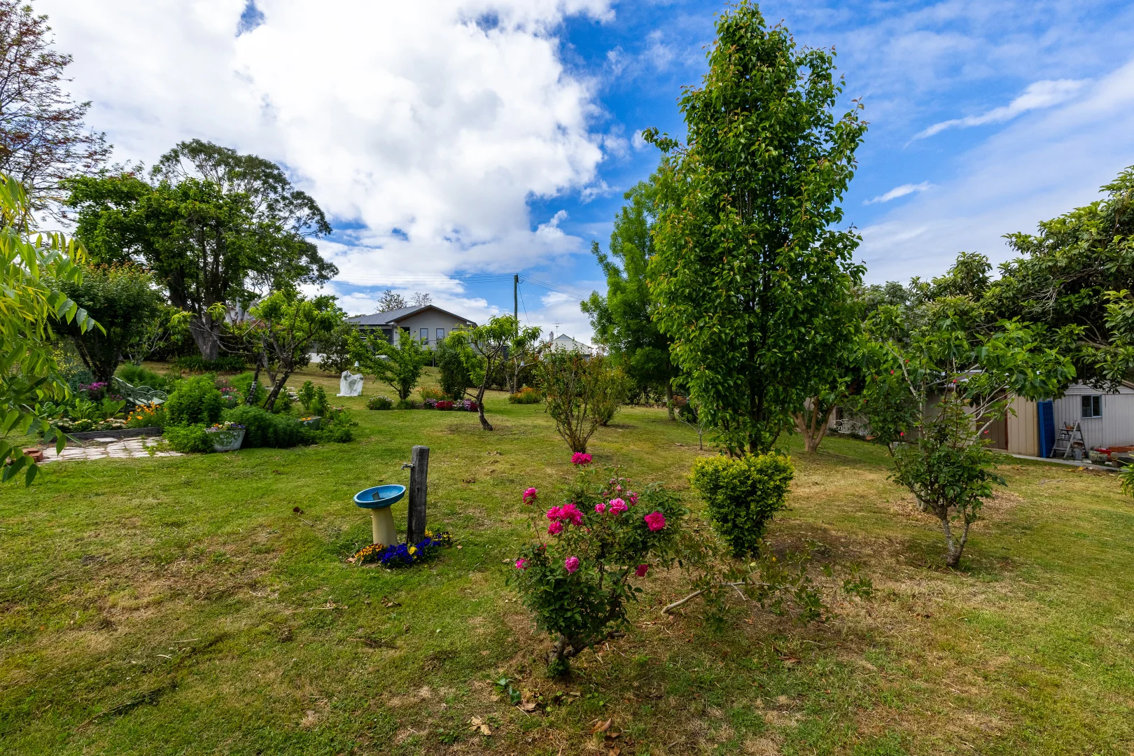 Additional image 19 of 19 Cobargo Bermagui Road, Cobargo NSW 2550