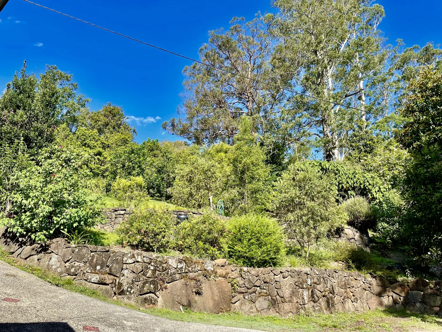 Additional image 33 of 14-16 Nimbin Street, The Channon NSW 2480
