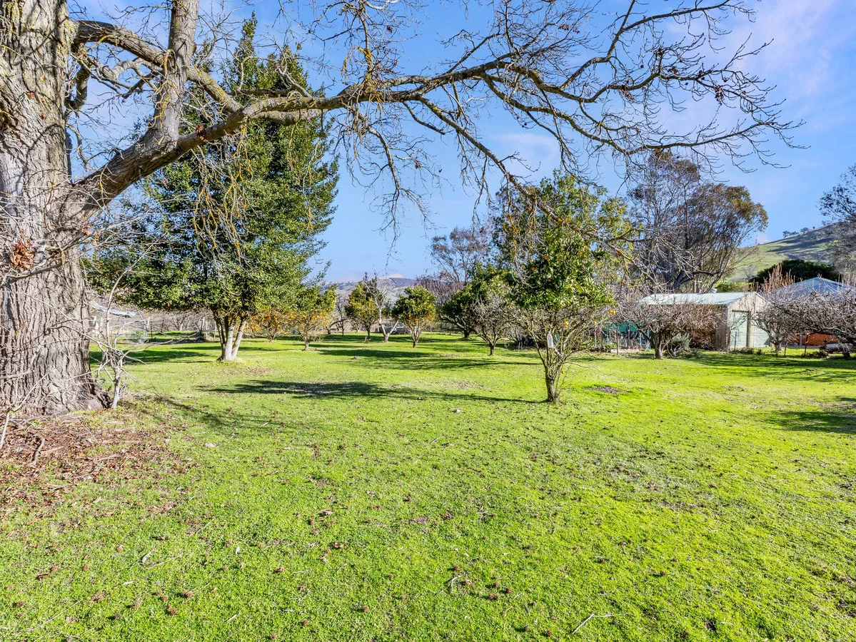 Additional image 18 of 14 Gilbert Street, Tallangatta VIC 3700