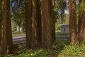 Additional image 45 of 2715 Branciforte Dr, Santa Cruz, CA, 95065