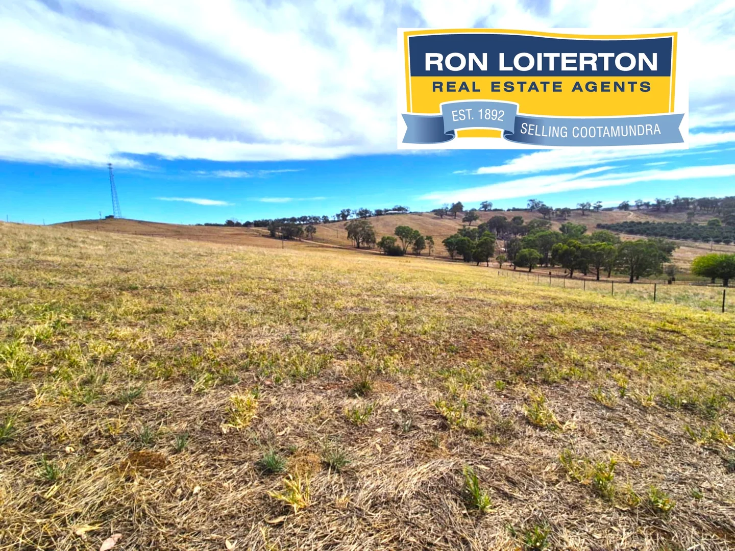 Additional image 2 of 101 102 105 Turners Ln, Cootamundra NSW 2590