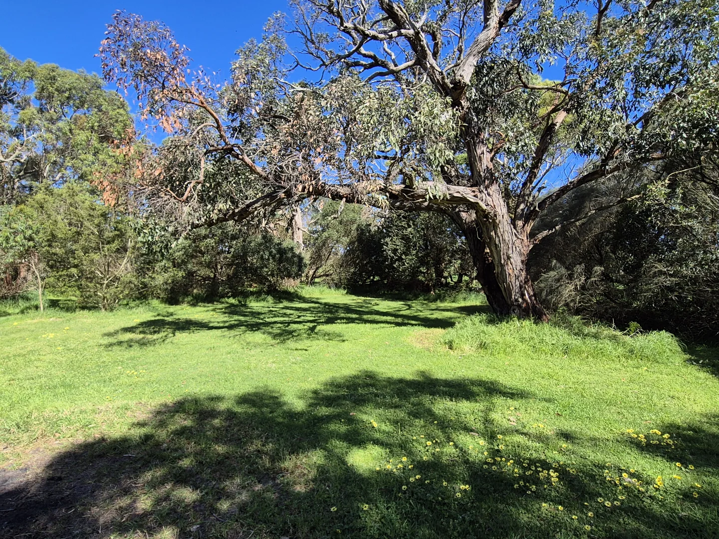 Additional image 15 of 417 McBurnie and Boags Road, Tarwin Lower VIC 3956