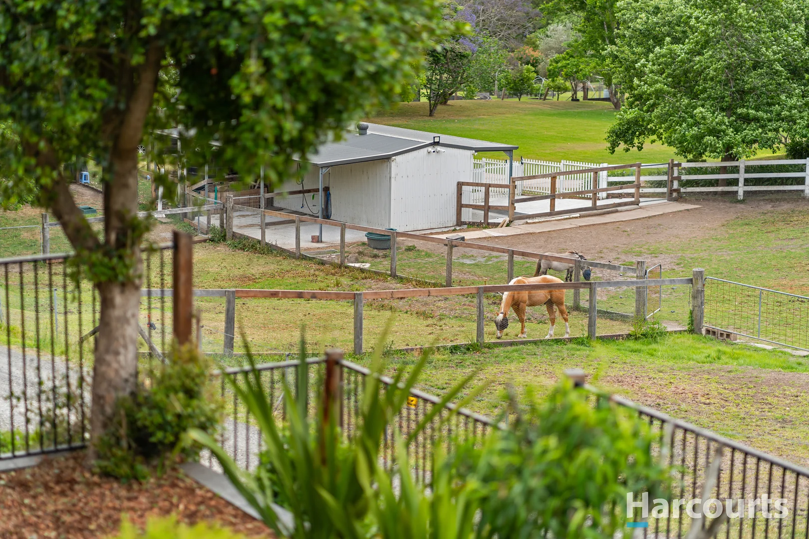 Additional image 25 of 40 Fryar Crescent, Wallsend NSW 2287
