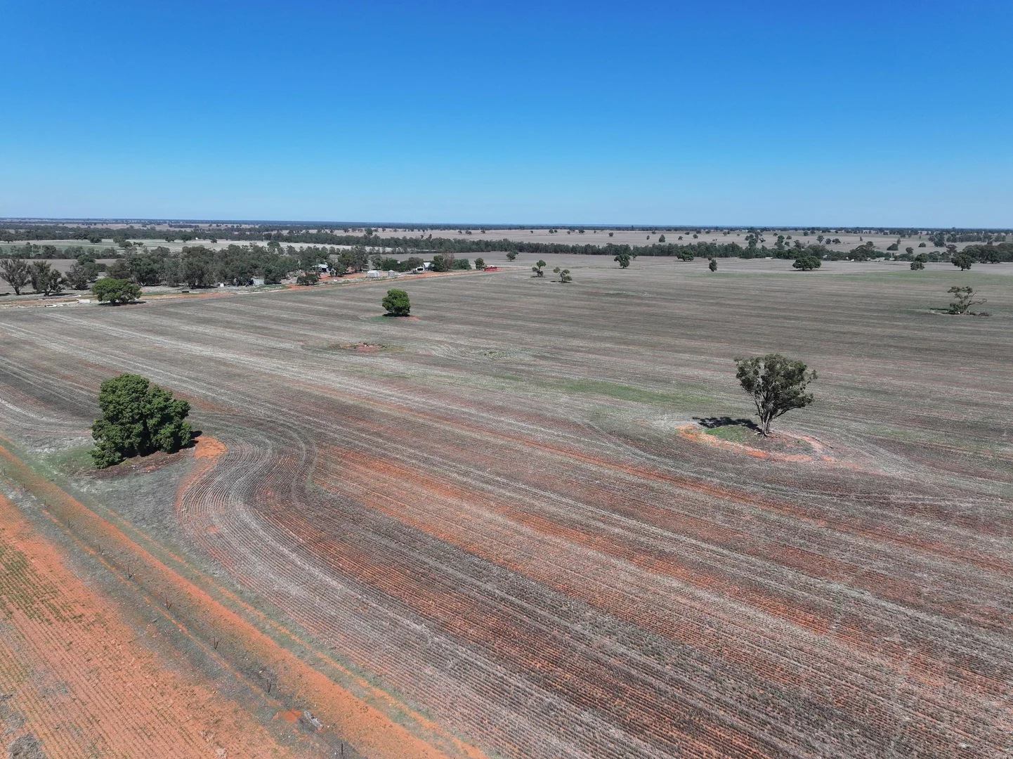 Additional image 16 of Shannonvale & Elmore Strontian Road, Boree Creek NSW 2652