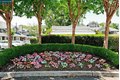 Additional image 30 of 57 Danville Oak Pl, Danville, CA, 94526