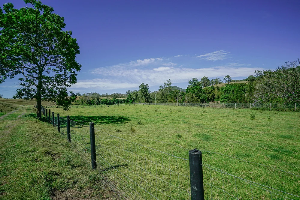 Additional image 6 of 1644 Paterson River Road, Lostock NSW 2311
