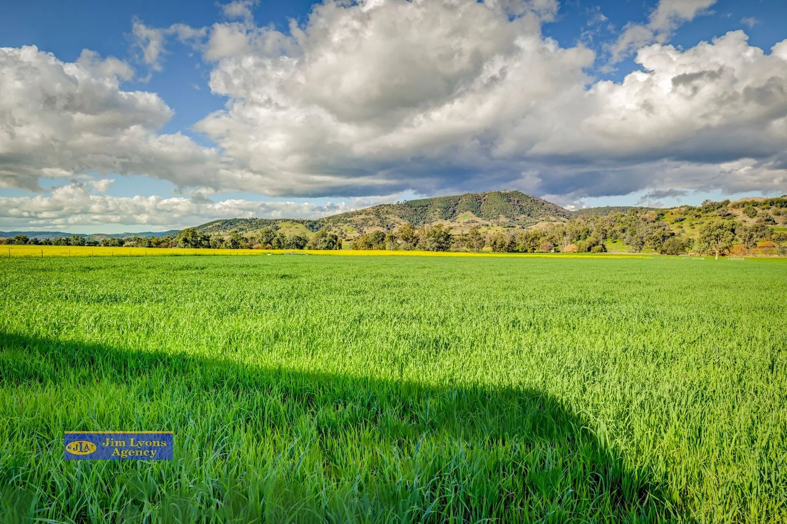 Additional image 48 of The Manor/2226 Manilla Road, Tamworth NSW 2340