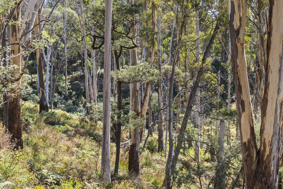 Additional image 9 of 44 Coppings Road & 729 Nubeena Road, Premaydena TAS 7185