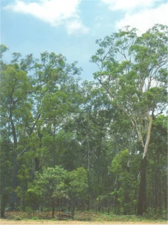 Additional image 3 of 70 Launceston Road, Dundee Beach NT 0840