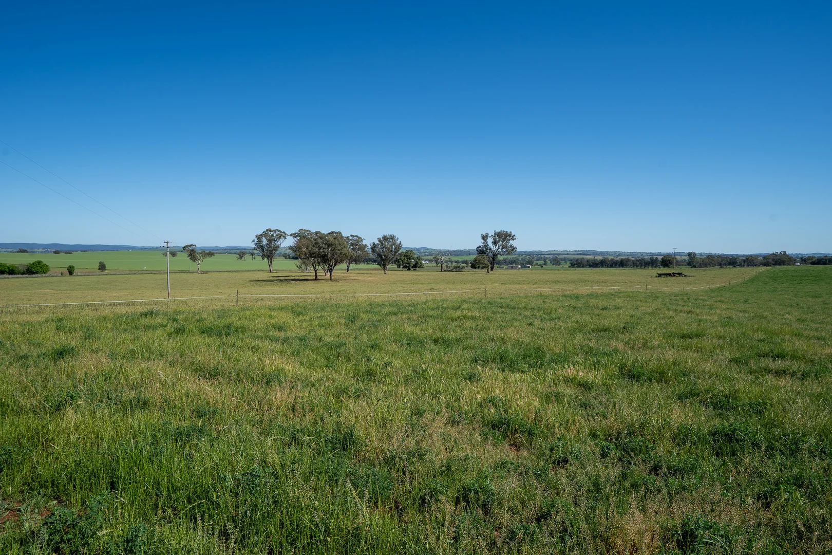 Additional image 11 of 1097 Davys Plains Road, Cudal NSW 2864
