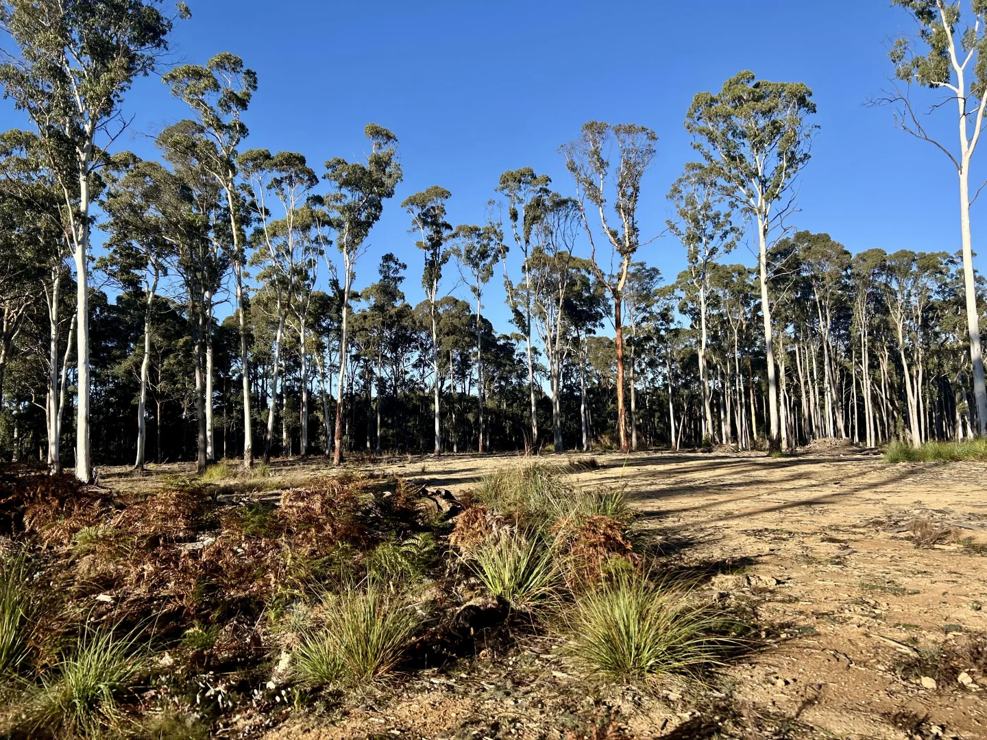 Additional image 3 of 175 Blighs Road, Trentham VIC 3458