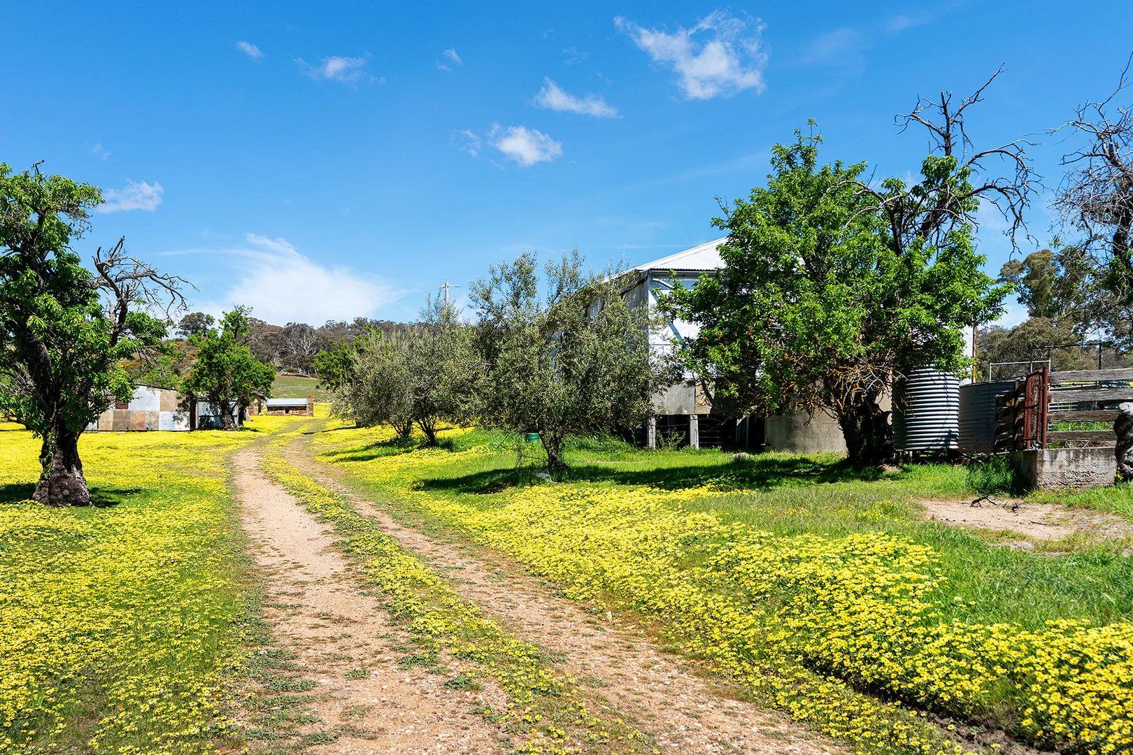 Additional image 22 of 225 Nuggetty Road, Maldon VIC 3463