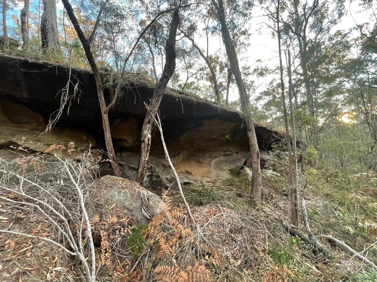 Additional image 17 of South Maroota NSW 2756