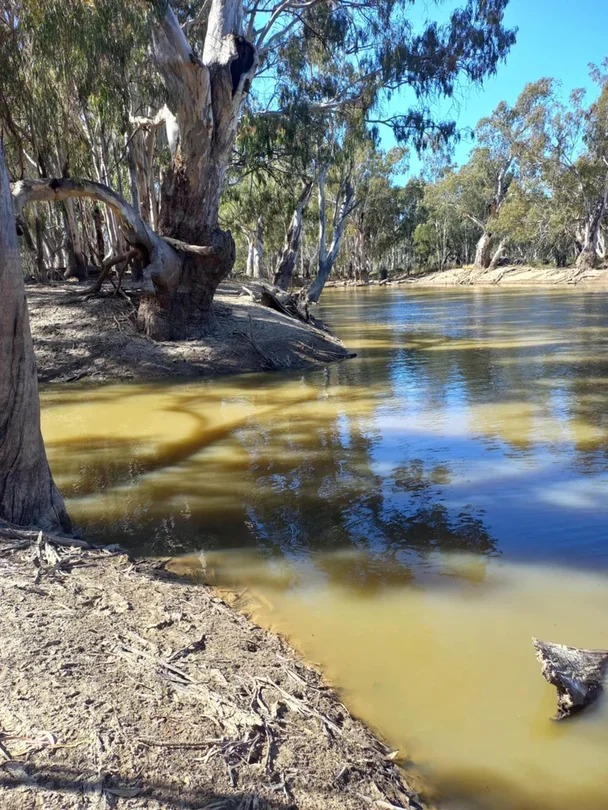 Additional image 22 of 1207 Frasers Road, Niemur NSW 2733