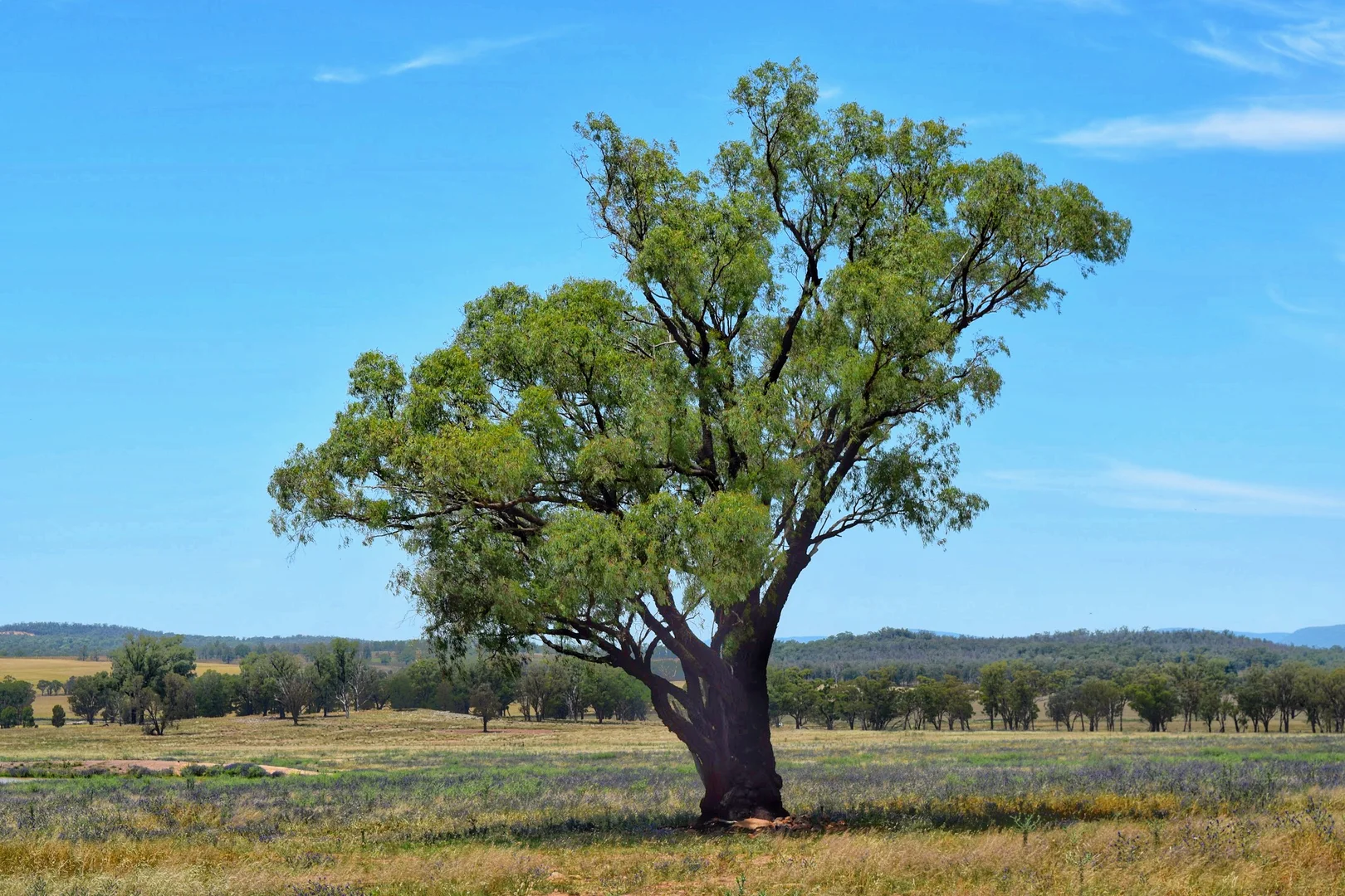Additional image 25 of 179 Mittons Lane 'Lorna Doone', Pinnacle NSW 2810