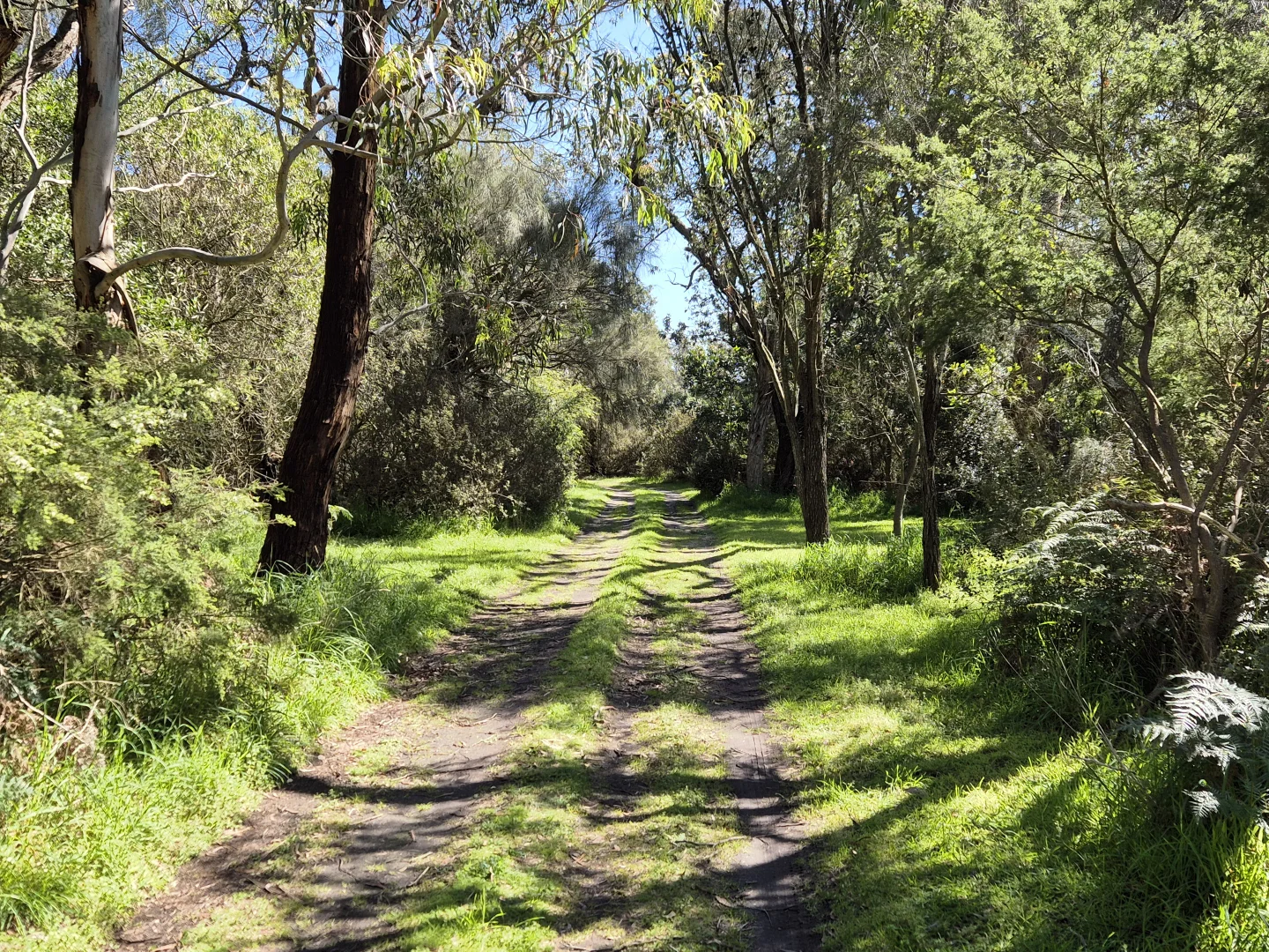 Additional image 18 of 417 McBurnie and Boags Road, Tarwin Lower VIC 3956