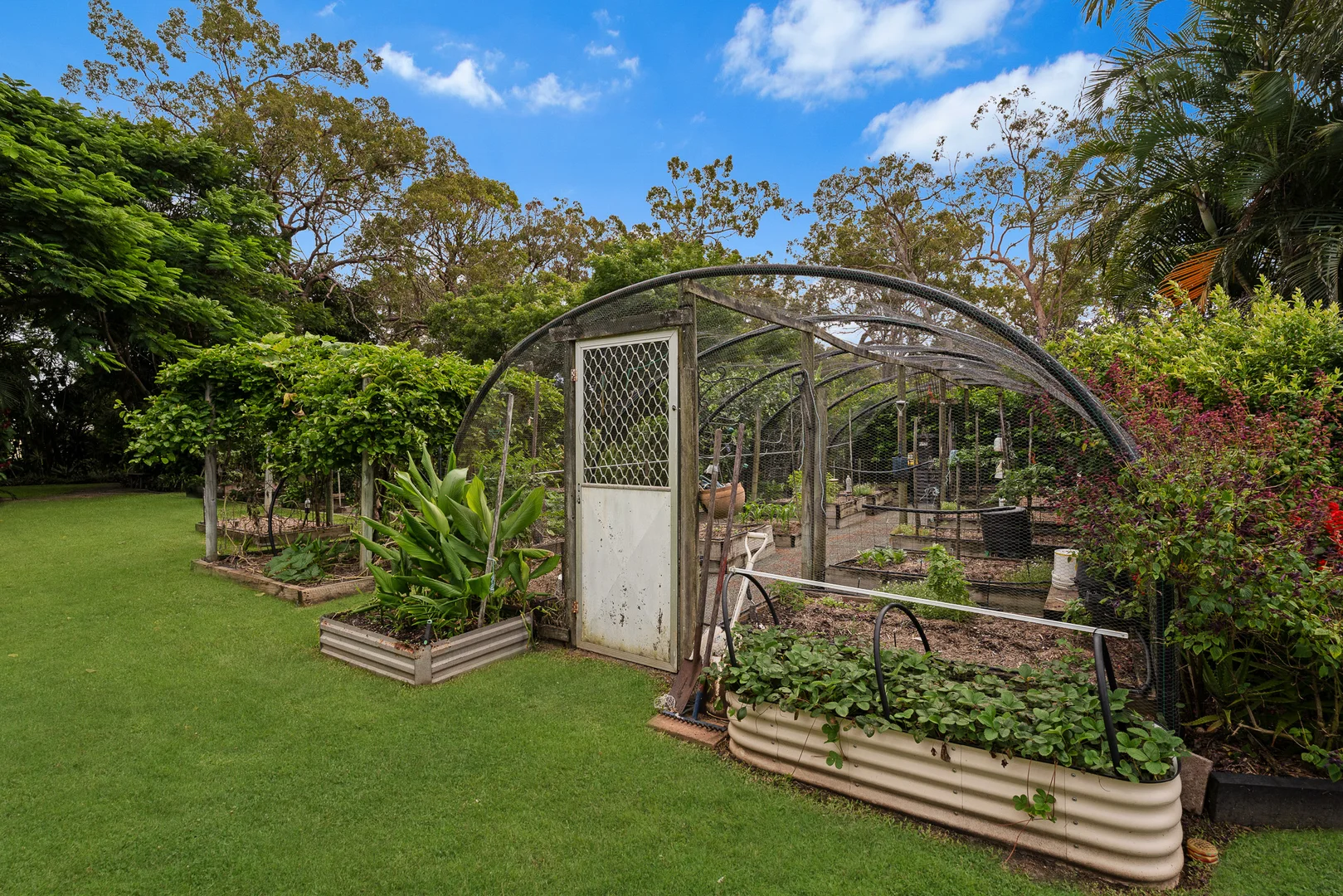 Additional image 23 of 19 Brooke Court, Oakhurst QLD 4650