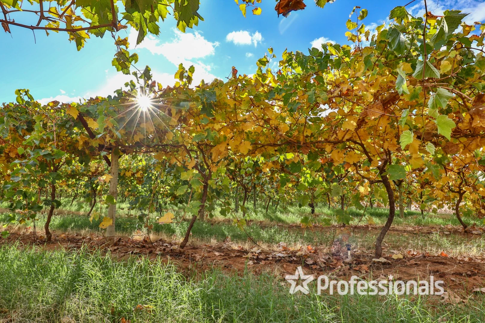 Lot 2 Myall Street, Cardross VIC 3496