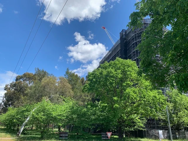 Additional image 33 of 14 Ibbott Lane, Belconnen ACT 2617