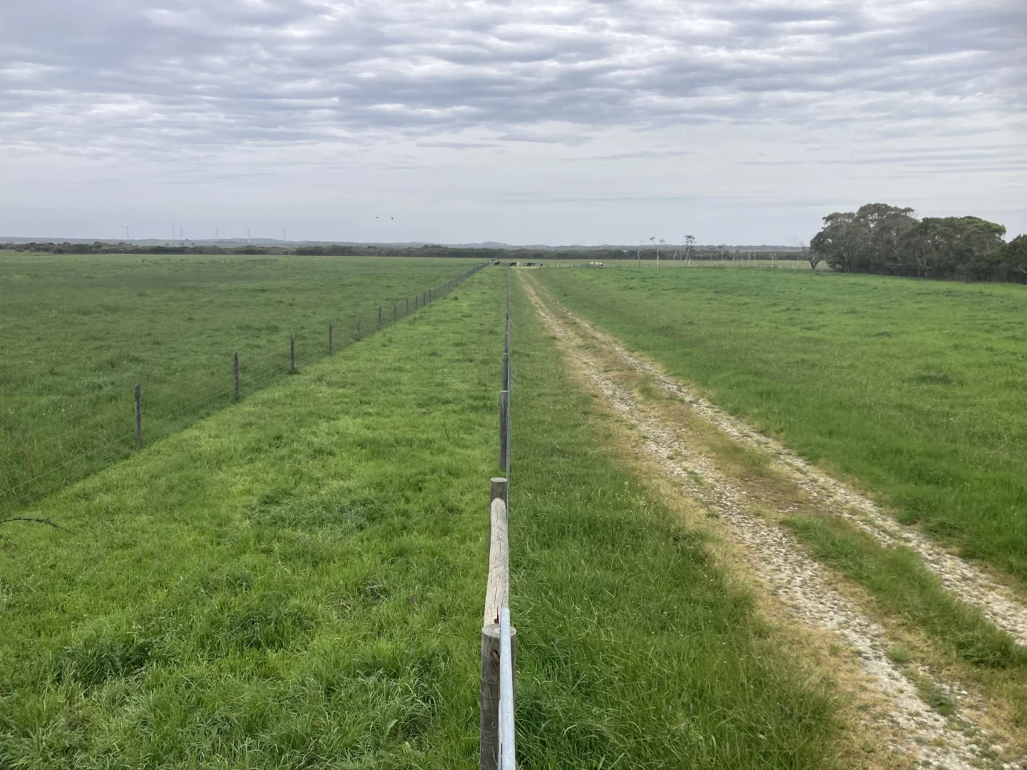 Additional image 9 of 4090 Bass Highway, Dalyston VIC 3992